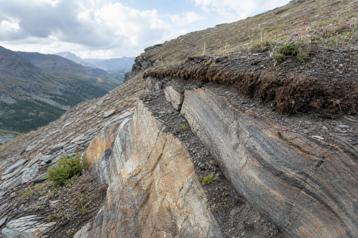 Felsige Landschaft mit beginnender Bodenbildung