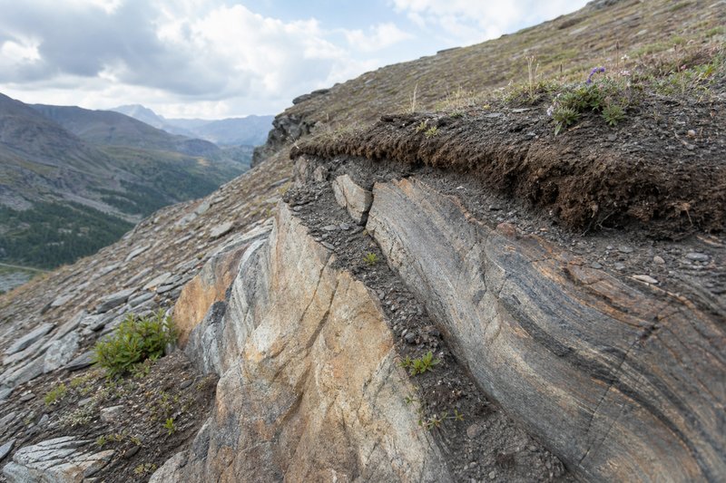 Felsige Landschaft mit beginnender Bodenbildung